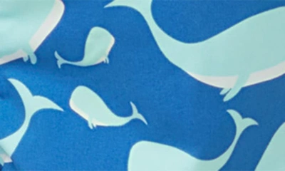 Tom & Teddy Boys' Whale Print Swim Trunks - Little Kid, Big Kid In Navy & Aqua