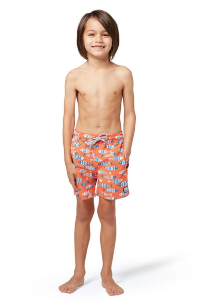 Tom & Teddy Boys' Fish Print Swim Trunks - Little Kid, Big Kid In Striped Orange