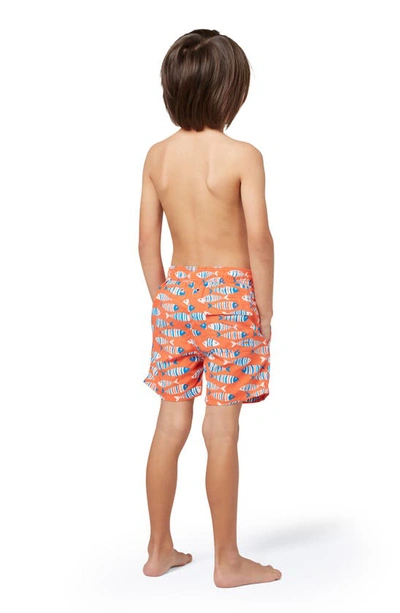 Tom & Teddy Boys' Fish Print Swim Trunks - Little Kid, Big Kid In Striped Orange