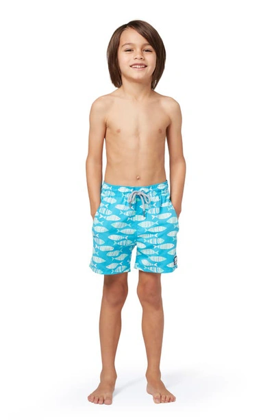 Tom & Teddy Little Boy's & Boy's Fish Print Swim Shorts In Striped Blue