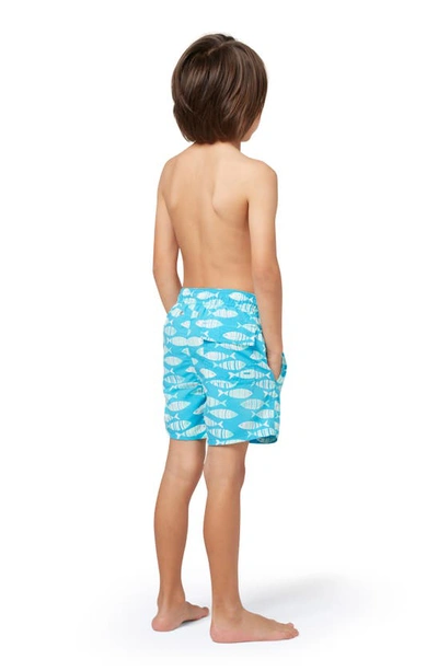 Tom & Teddy Little Boy's & Boy's Fish Print Swim Shorts In Striped Blue