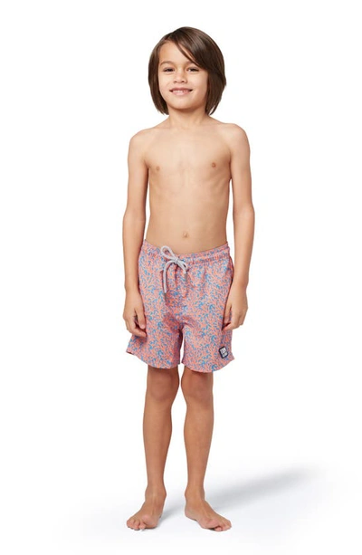 Tom & Teddy Boys' Coral Print Swim Trunks - Little Kid, Big Kid In Mid Blue & Orange