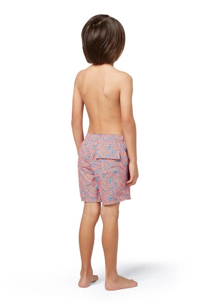 Tom & Teddy Boys' Coral Print Swim Trunks - Little Kid, Big Kid In Mid Blue & Orange
