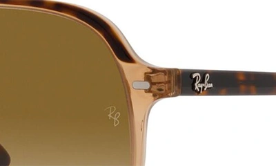 Ray Ban Bill 56mm Gradient Square Sunglasses In Transparent Brown