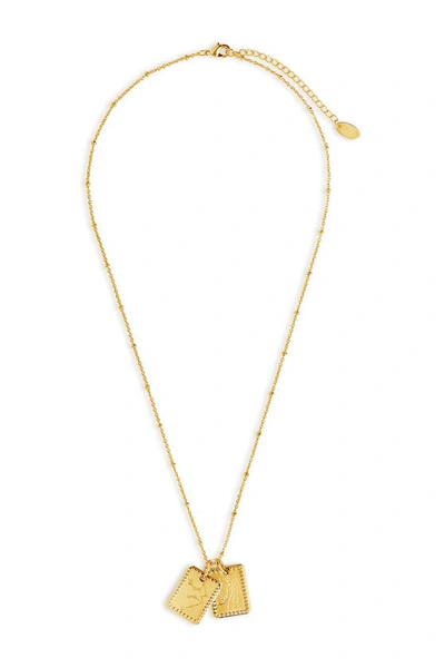 Sterling Forever 14k Gold Plated Brass Zodiac Tag Necklace In Gold - Aquarius