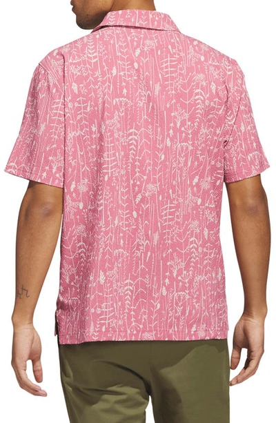 Shop Adidas Golf Go-to Golf Camp Shirt In Pink Strata