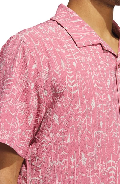 Shop Adidas Golf Go-to Golf Camp Shirt In Pink Strata