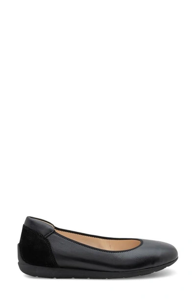 Shop Ara Sh Ballet Flat In Black Calf