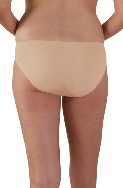 Shop Bravado Designs 3-pack Mid Rise Seamless Maternity Panties In Butterscotch