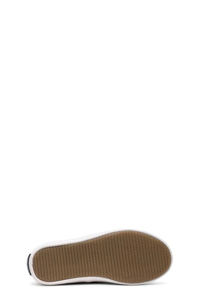 Sperry Kids' Spinnaker Jr. Washable Sneaker In Grey