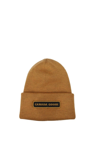 Shop Canada Goose Hats Emblem Wool Brown Antique Gold