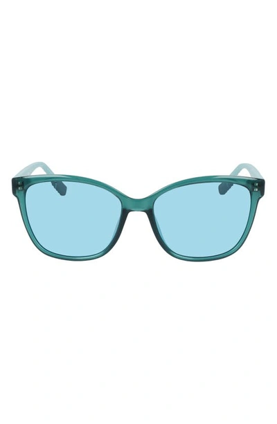 Shop Converse Force 56mm Sunglasses In Crystal Forest Pine