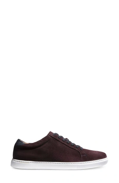 Shop Allen Edmonds Courtside Sneaker In Rum Suede