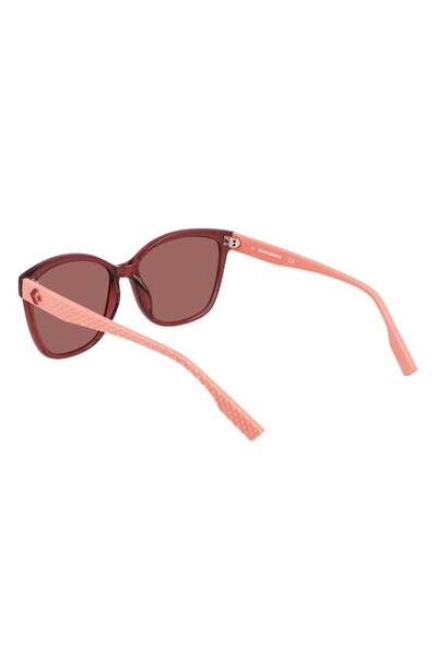 Shop Converse Force 56mm Sunglasses In Crystal Deep Bordeaux