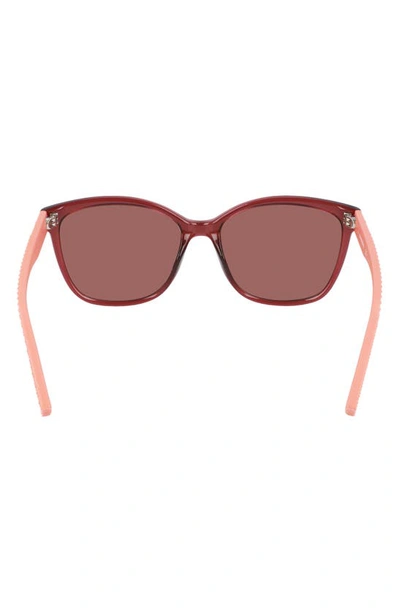 Shop Converse Force 56mm Sunglasses In Crystal Deep Bordeaux