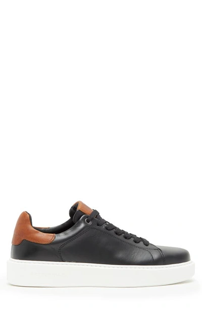 Bruno magli lucca shop
