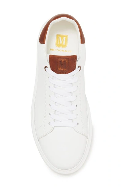 Shop Bruno Magli Lucca Leather Sneaker In White