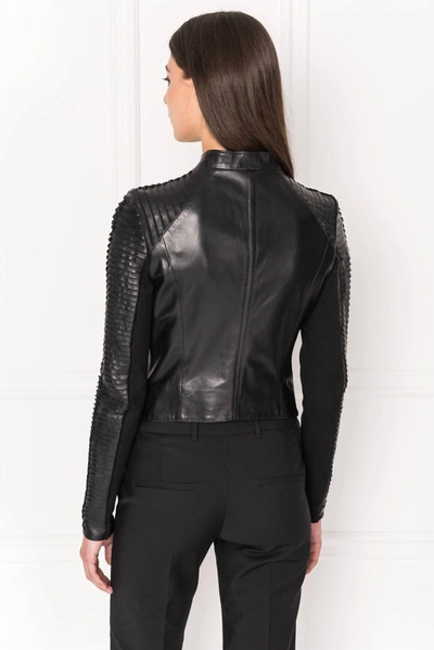 Shop Lamarque Azra Striped Leather Jacket In Black