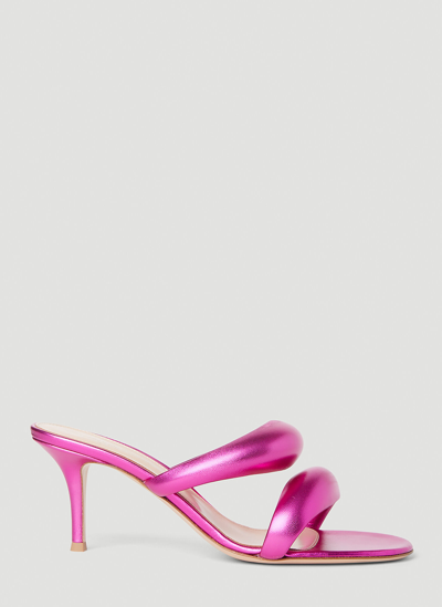Shop Gianvito Rossi Bijoux Kitten Heel Mules In Pink