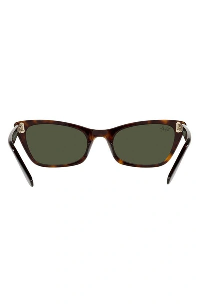 Ray Ban Ray-ban Lady Burbank 55mm Cat Eye Sunglasses In Havana