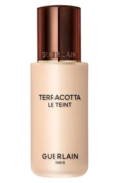 Shop Guerlain Terracotta Le Teint Healthy Glow Foundation In 0.5n Neutral