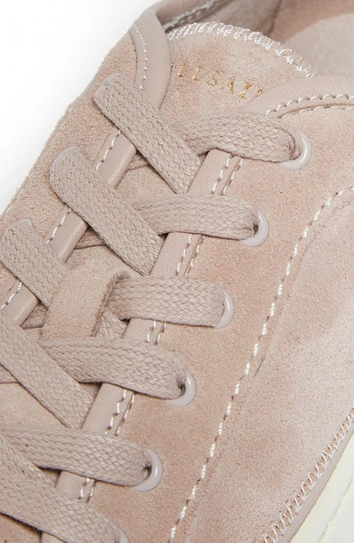 Shop Allsaints Milla Platform Sneaker In Dirty Pink