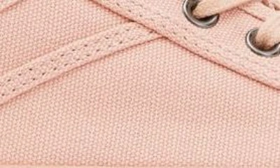 Shop Allsaints Jackie Ghost Canvas Sneaker In Misty Pink