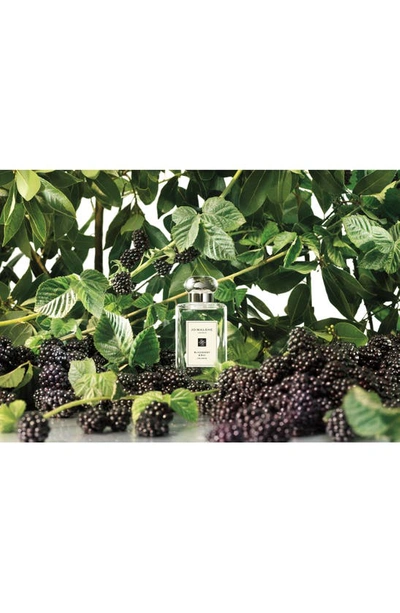 Shop Jo Malone London ™ Blackberry & Bay Cologne