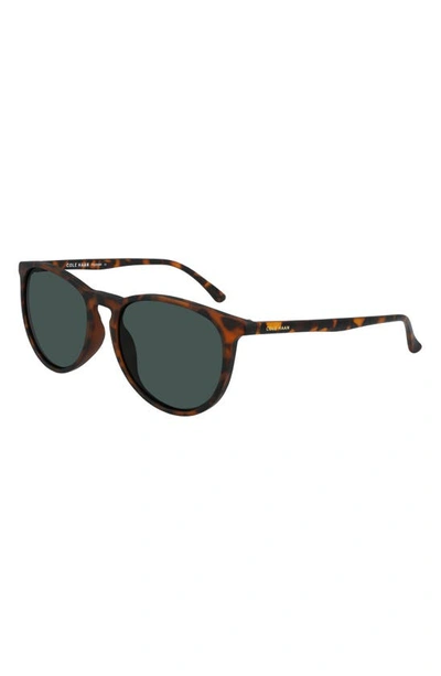 Cole Haan 55mm Vintage Round Sunglasses In Matte Tortoise