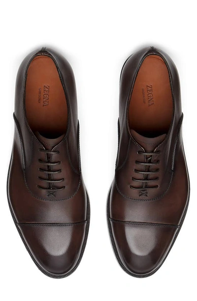 Zegna Men's Torino Cap Toe Leather Oxfords In Dark Brown