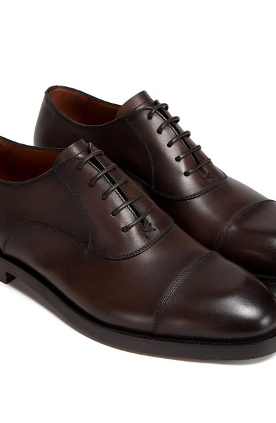 Zegna Men's Torino Cap Toe Leather Oxfords In Dark Brown
