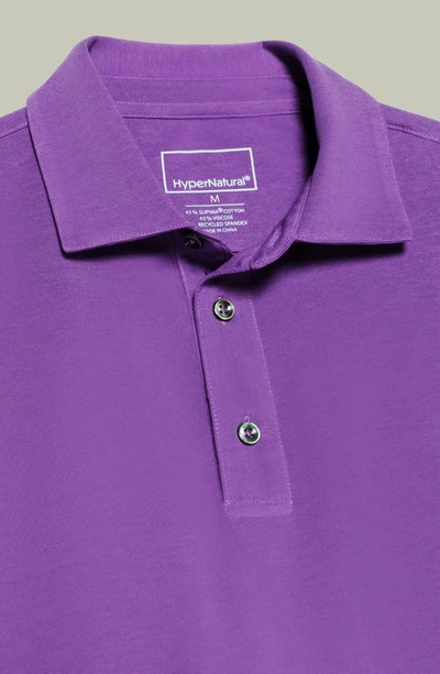 Shop Hypernatural Mojave Supima® Cotton Blend Feather Jersey Polo In Dusted Grape
