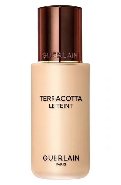 Shop Guerlain Terracotta Le Teint Healthy Glow Foundation In 1w Warm