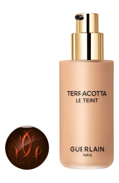 Shop Guerlain Terracotta Le Teint Healthy Glow Foundation In 3.5n Neutral