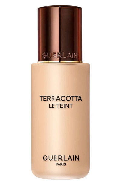 Shop Guerlain Terracotta Le Teint Healthy Glow Foundation In 2w Warm