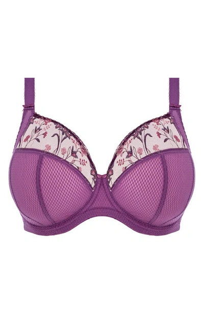 Elomi Charley Full Figure Underwire Plunge Bra In Pansy