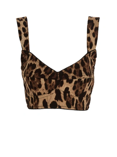 Shop Dolce & Gabbana Leopard Bustier Top