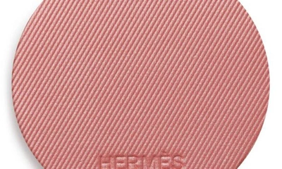 Shop Hermes Rose Hermès In 58 Rose Cuivre