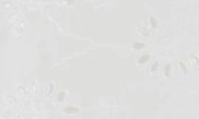 Liv Los Angeles Embroidered Cotton Eyelet Button-up Shirt In White