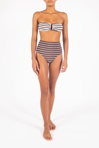 Shop Anemos The High-waist Bikini Bottom In Espresso Odd Stripes