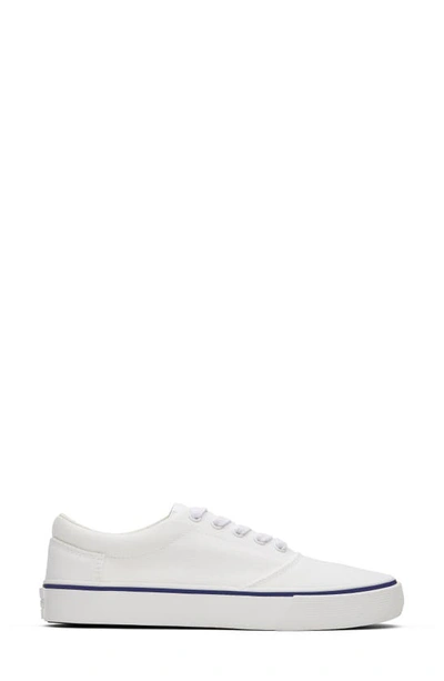 Shop Toms Fenix Canvas Lace-up Sneaker In White