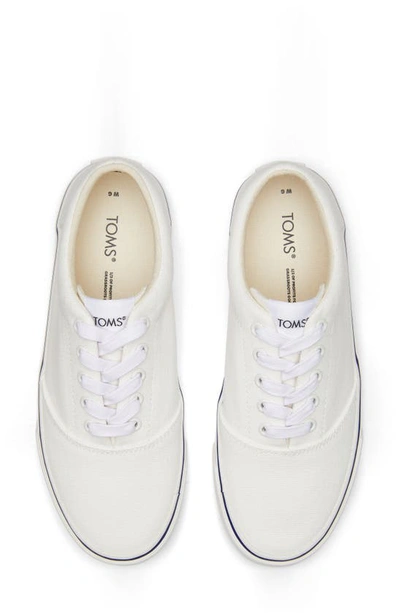 Shop Toms Fenix Canvas Lace-up Sneaker In White