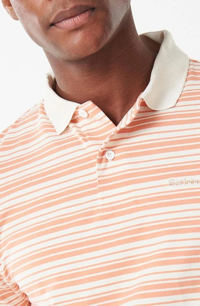 Shop Barbour Deanbank Stripe Polo In Coral/ Whisper White