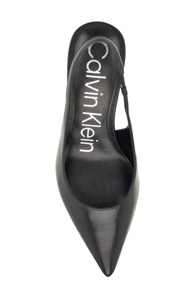 Shop Calvin Klein Cinola Slingback Pointed Toe Pump In Black Leather