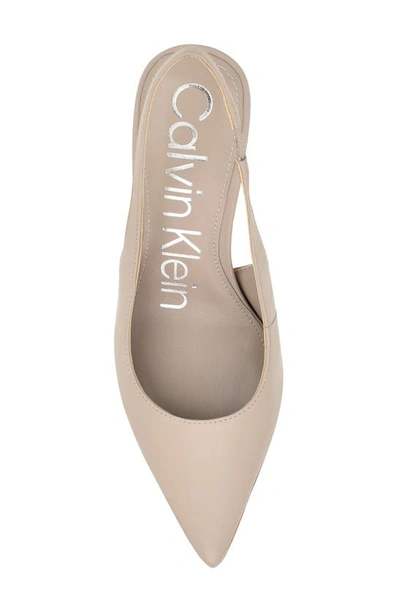 Shop Calvin Klein Cinola Slingback Pointed Toe Pump In Taupe Leather
