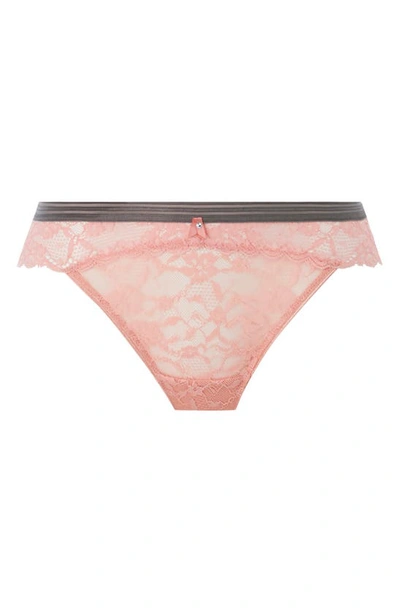 Shop Freya Offbeat Brazilian Briefs In Rose