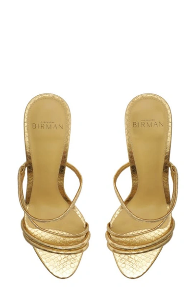 Shop Alexandre Birman Eve Snake Embossed Slide Sandal In Gold