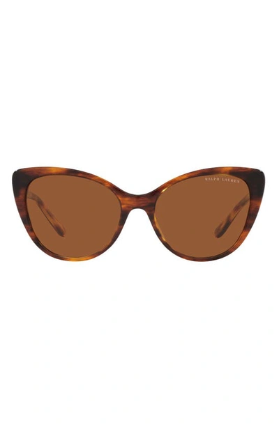 Shop Ralph Lauren 56mm Cat Eye Sunglasses In Havana