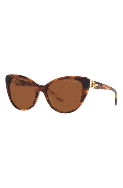 Shop Ralph Lauren 56mm Cat Eye Sunglasses In Havana