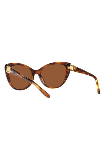 Shop Ralph Lauren 56mm Cat Eye Sunglasses In Havana